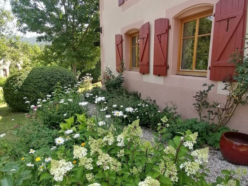 facade fleurie les pruniers copie scaled